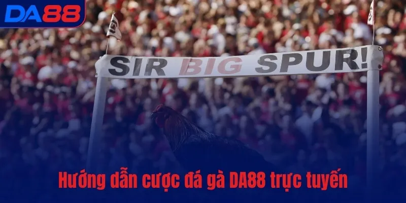 Hướng dẫn cược đá gà DA88 trực tuyến